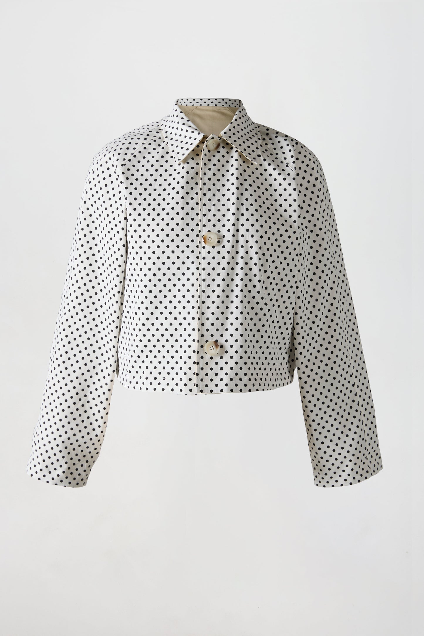The Trench - Reversible