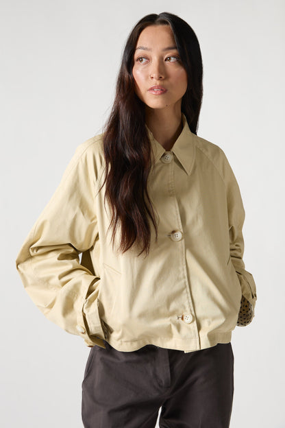 The Trench - Reversible